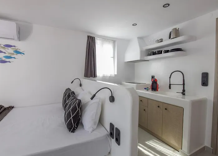 Irini's B & W House With Jacuzzi Dragulász